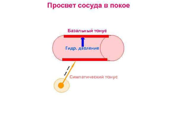 Кракен at сегодня работает ли